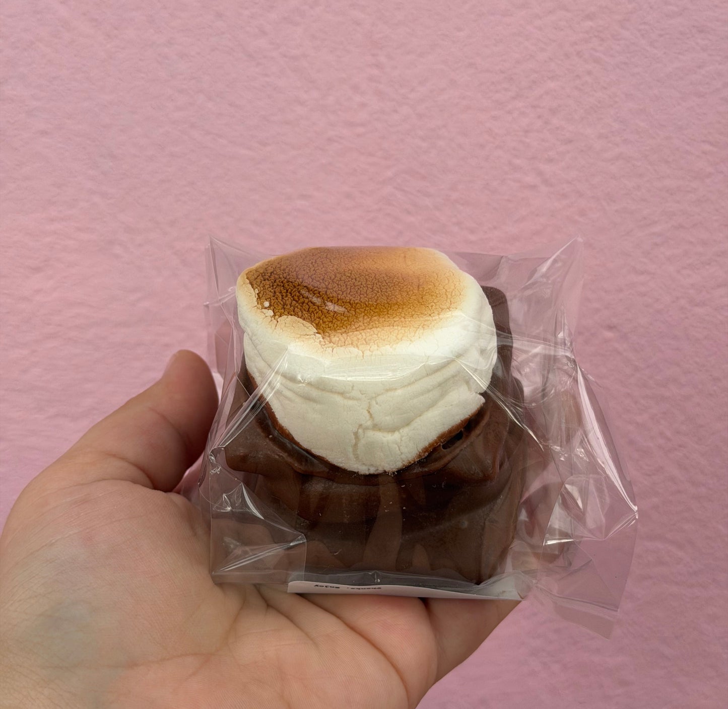 Wickedly Delicious Smores