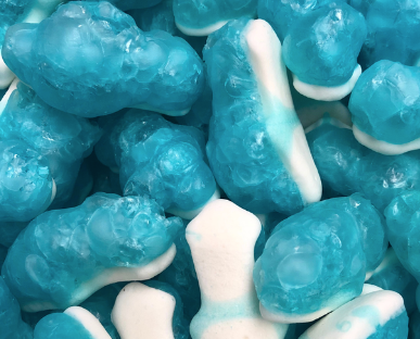 Freeze Dried Blue Sharks Sweet Sisters Co.