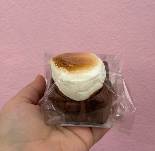 Wickedly Delicious Smores