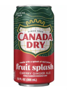 Canada Dry Fruit Splash Can